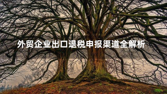 外贸企业出口退税申报渠道全解析