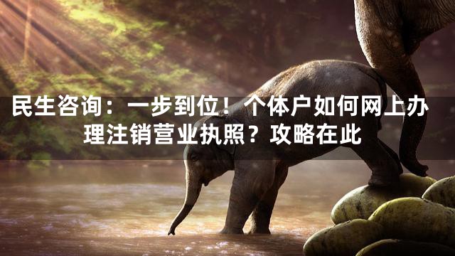 民生咨询：一步到位！个体户如何网上办理注销营业执照？攻略在此