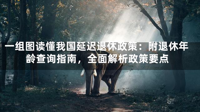 一组图读懂我国延迟退休政策：附退休年龄查询指南，全面解析政策要点
