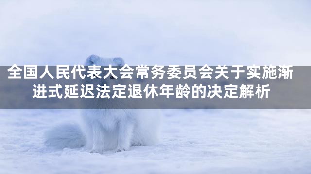 全国人民代表大会常务委员会关于实施渐进式延迟法定退休年龄的决定解析