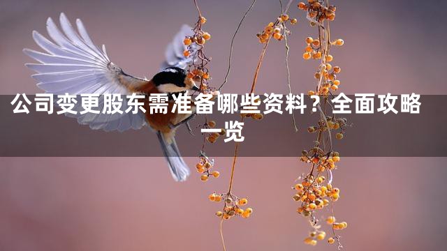 公司变更股东需准备哪些资料？全面攻略一览