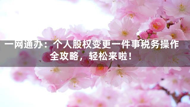 一网通办：个人股权变更一件事税务操作全攻略，轻松来啦！