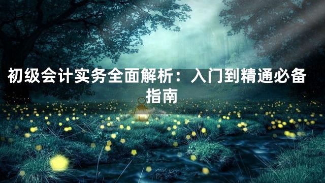 初级会计实务全面解析：入门到精通必备指南