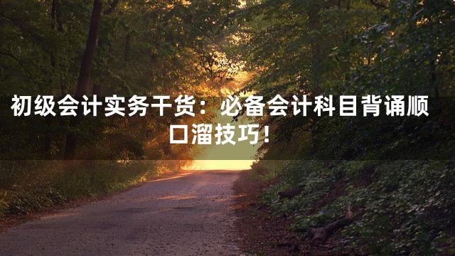 初级会计实务干货：必备会计科目背诵顺口溜技巧！
