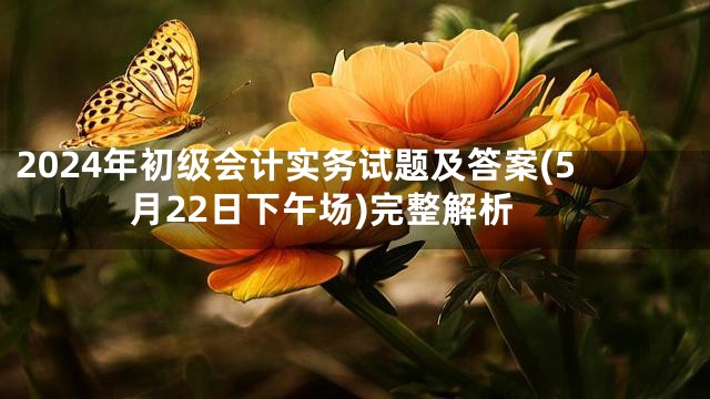 2024年初级会计实务试题及答案(5月22日下午场)完整解析