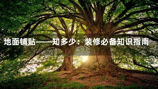 地面铺贴——知多少：装修必备知识指南