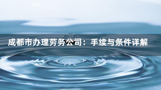 成都市办理劳务公司：手续与条件详解