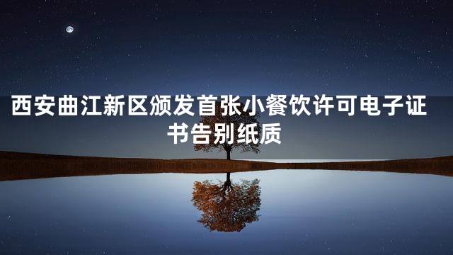西安曲江新区颁发首张小餐饮许可电子证书告别纸质