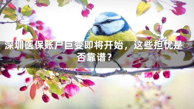 深圳医保账户巨变即将开始，这些担忧是否靠谱？