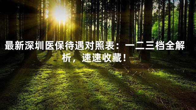 最新深圳医保待遇对照表：一二三档全解析，速速收藏！