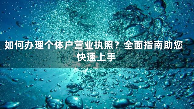 如何办理个体户营业执照？全面指南助您快速上手