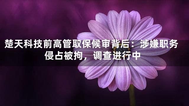 楚天科技前高管取保候审背后：涉嫌职务侵占被拘，调查进行中