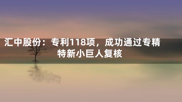 汇中股份：专利118项，成功通过专精特新小巨人复核