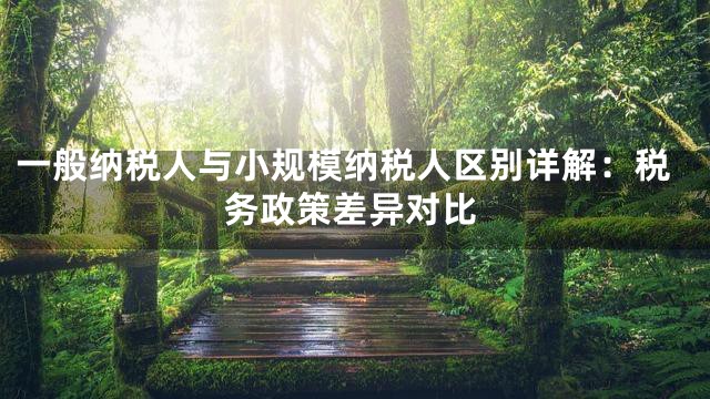 一般纳税人与小规模纳税人区别详解：税务政策差异对比