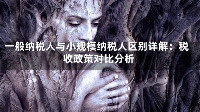 一般纳税人与小规模纳税人区别详解：税收政策对比分析