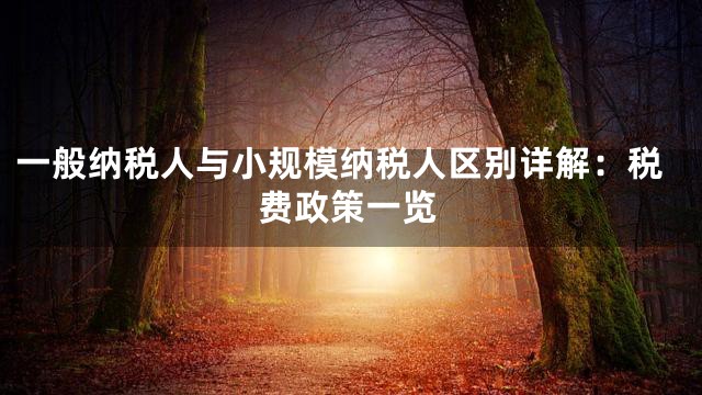 一般纳税人与小规模纳税人区别详解：税费政策一览