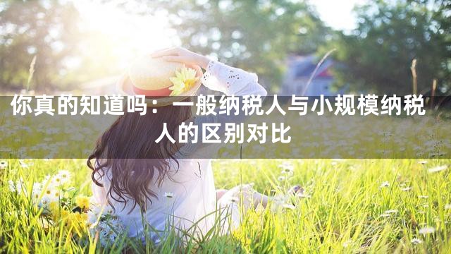 你真的知道吗：一般纳税人与小规模纳税人的区别对比
