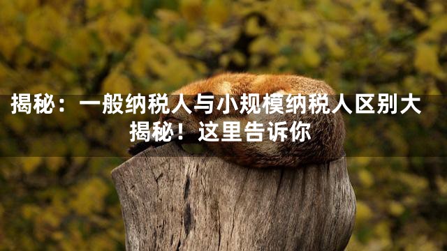 揭秘：一般纳税人与小规模纳税人区别大揭秘！这里告诉你