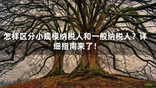 怎样区分小规模纳税人和一般纳税人？详细指南来了！