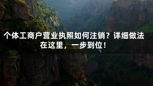 个体工商户营业执照如何注销？详细做法在这里，一步到位！