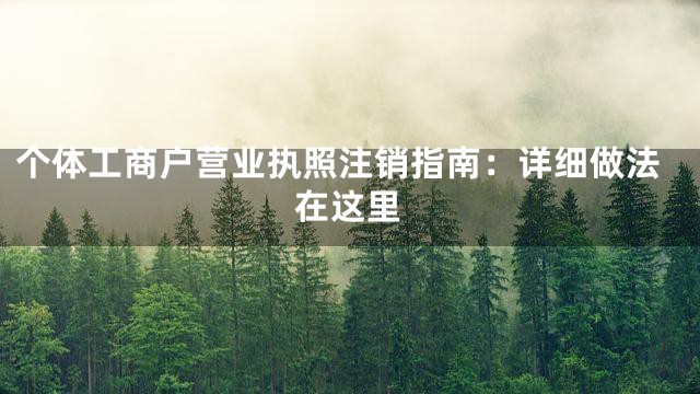 个体工商户营业执照注销指南：详细做法在这里