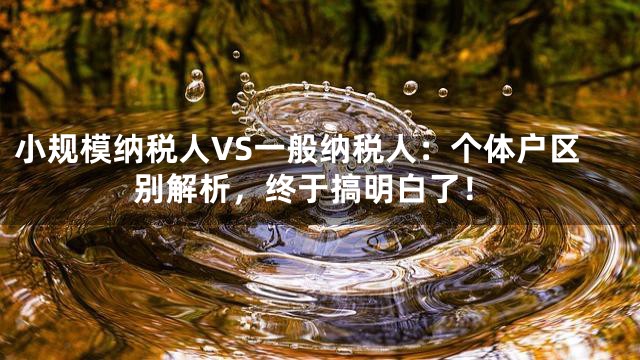 小规模纳税人VS一般纳税人：个体户区别解析，终于搞明白了！