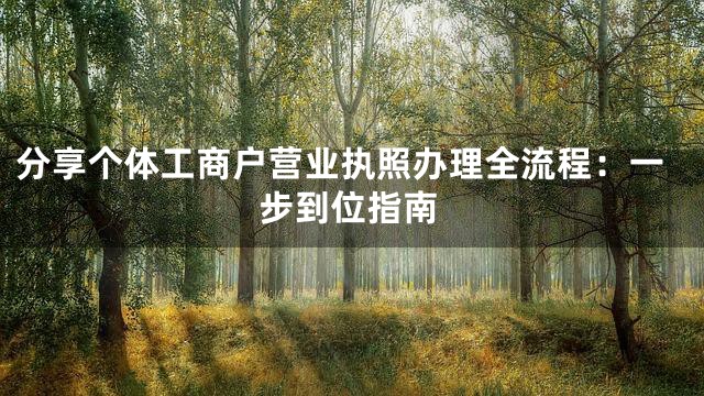 分享个体工商户营业执照办理全流程：一步到位指南