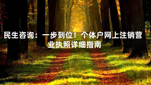 民生咨询：一步到位！个体户网上注销营业执照详细指南