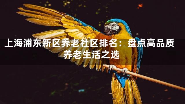 上海浦东新区养老社区排名：盘点高品质养老生活之选