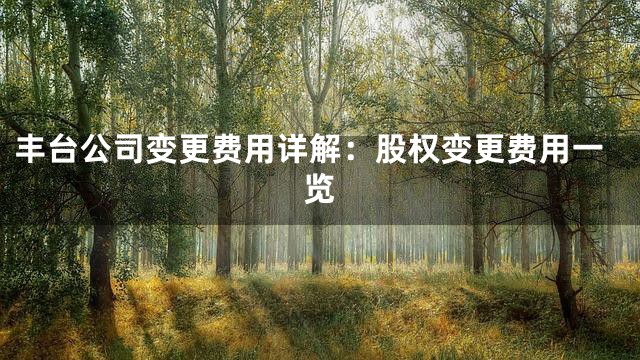 丰台公司变更费用详解：股权变更费用一览