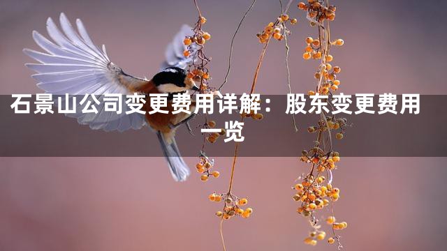 石景山公司变更费用详解：股东变更费用一览