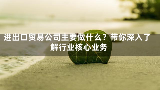 进出口贸易公司主要做什么？带你深入了解行业核心业务