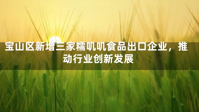 宝山区新增三家糯叽叽食品出口企业，推动行业创新发展