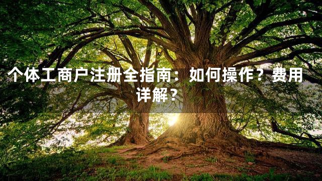 个体工商户注册全指南：如何操作？费用详解？