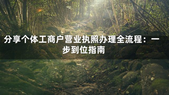 分享个体工商户营业执照办理全流程：一步到位指南