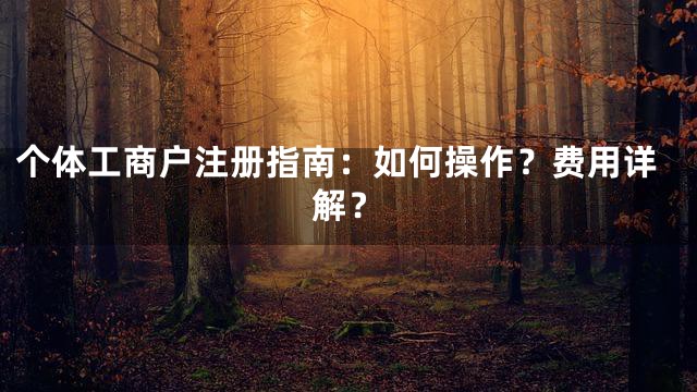 个体工商户注册指南：如何操作？费用详解？