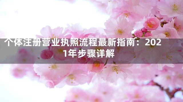 个体注册营业执照流程最新指南：2021年步骤详解