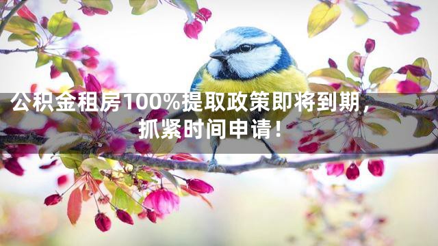 公积金租房100%提取政策即将到期，抓紧时间申请！
