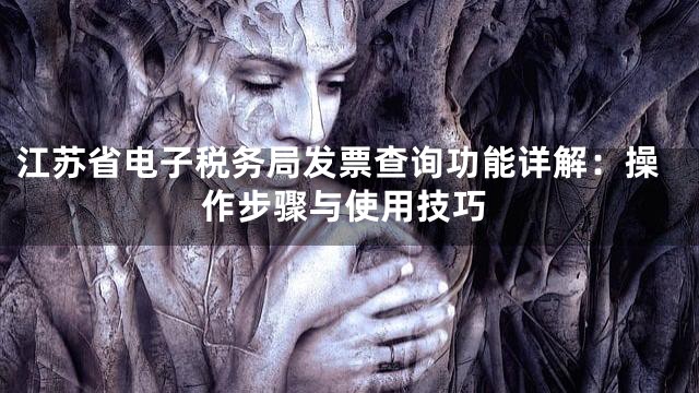江苏省电子税务局发票查询功能详解：操作步骤与使用技巧