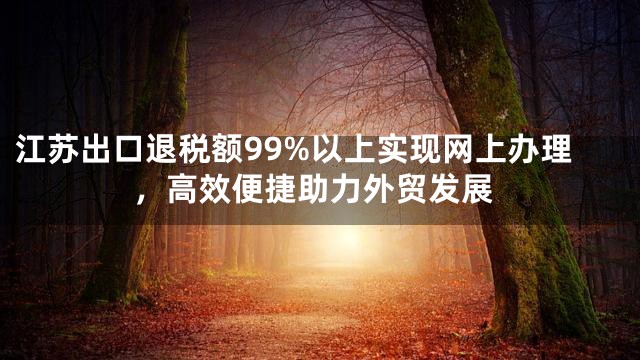 江苏出口退税额99%以上实现网上办理，高效便捷助力外贸发展