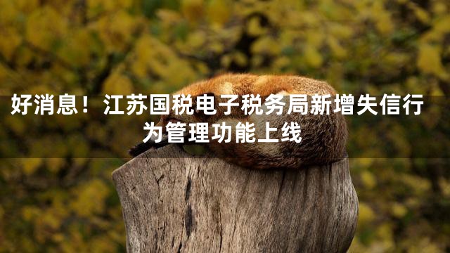 好消息！江苏国税电子税务局新增失信行为管理功能上线