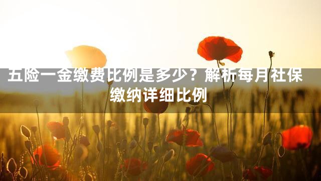 五险一金缴费比例是多少？解析每月社保缴纳详细比例