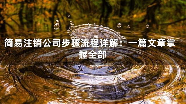 简易注销公司步骤流程详解：一篇文章掌握全部