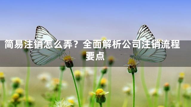 简易注销怎么弄？全面解析公司注销流程要点