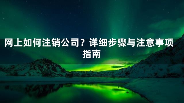 网上如何注销公司？详细步骤与注意事项指南