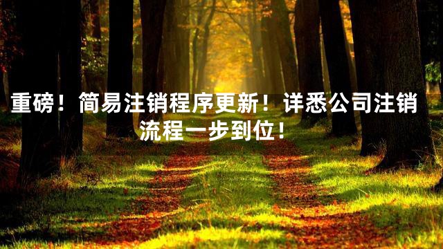 重磅！简易注销程序更新！详悉公司注销流程一步到位！