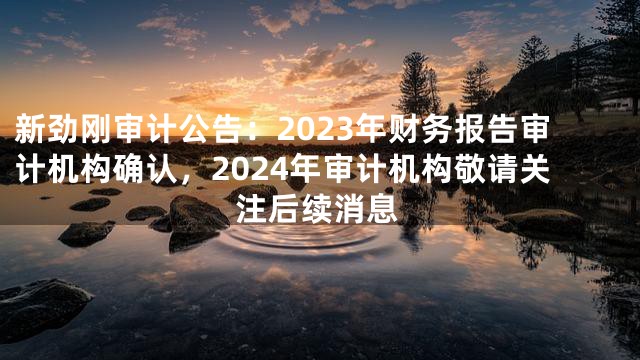 新劲刚审计公告：2023年财务报告审计机构确认，2024年审计机构敬请关注后续消息