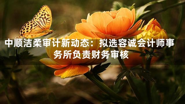 中顺洁柔审计新动态：拟选容诚会计师事务所负责财务审核