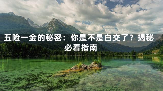 五险一金的秘密：你是不是白交了？揭秘必看指南