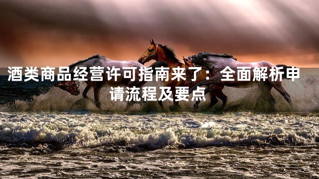 酒类商品经营许可指南来了：全面解析申请流程及要点